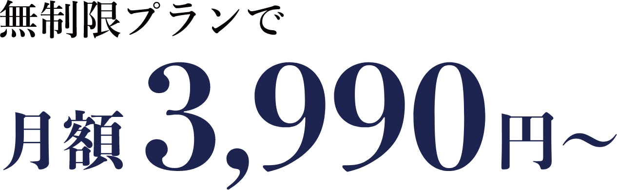 無制限プランで、月額3,990円~